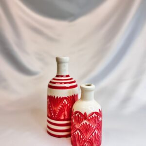 calathea beauty star